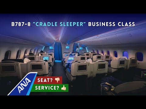 【超美品】全日空商事 ANA B787-8 DREAMLINER NH20048 超美品】全日空商事 ANA B787-8 DREAMLINER NH20048 Japan's ANA