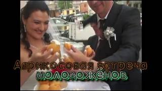 АБРИКОСОВАЯ СВАДЬБА! ВЕДУЩИЙ НА СВАДЬБУ.ВИДЕОГРАФ НА СВАДЬБУ В СПБ. АБРИКОСОВАЯ СВАДЬБА! ВЕДУЩИЙ НА СВАДЬБУ.ВИДЕОГРАФ НА СВАДЬБУ В СПБ.