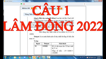 LẬP TRÌNH SCRATCH CÂU 1 ĐỀ THI TIN HỌC TRẺ LÂM ĐỒNG 2022 | VDD SHOA