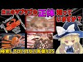 【閲覧注意】検索してはいけない言葉を怖がりが調べてみる!Part25【ゆっくり実況】【ゆっくり解説】