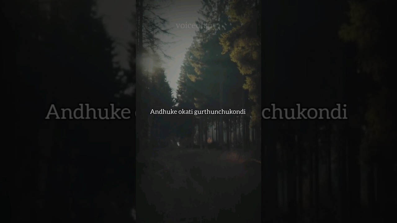 The problem is not lack of clarity 🤷🚶 