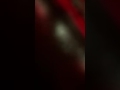 الفنان حامد العلي