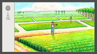 How to draw a scenery of paddy field with farmer easy draw rice field landscape farmer scenery