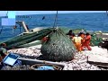 Catch hundreds of tons of fish with modern big boats || Catching Fish Big on The Sea