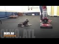 Shih Tzu Pup Holding Position lIke a Champ! | Expert Dog Training in Peachtree City and Smyra Shih Tzu Pup Holding Position lIke a Champ! | Expert Dog Training in Peachtree City and Smyra