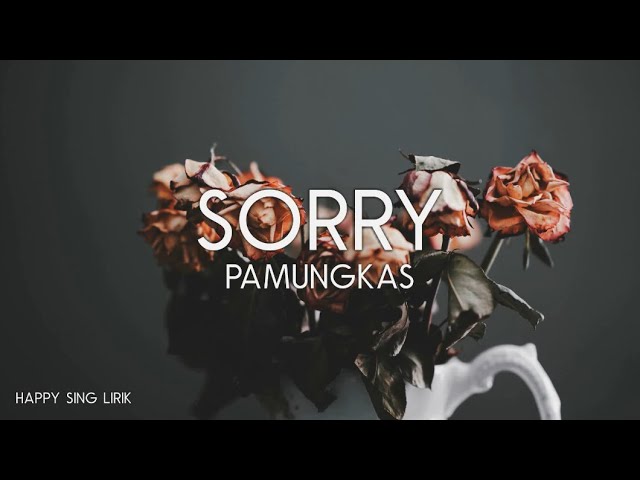 Pamungkas - Sorry (Lirik) class=