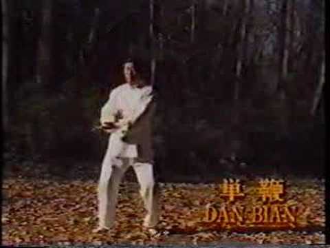 Tai Ji Quan estilo Chen - Forma "Lao Jia - Yi Lu"