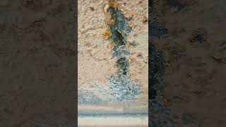Download Lagu verrot en gaar door beton MP3 Download Lagu verrot en gaar door beton MP3
