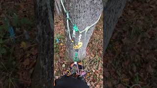 Double trouble with a 2:1 lanyard #buckinexperience #diy #stihl #treelife