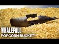 Whalefall | Popcorn Bucket | In Theaters October 16