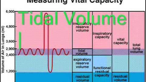 GCSE PE 1c Circulatory and Respiratory Systems   YouTube 360p