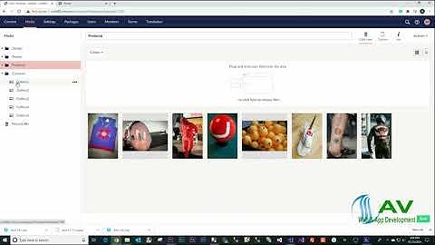 Carousel in MVC with Slick Slider & Umbraco Media Picker