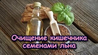 ОЧИЩЕНИЕ КИШЕЧНИКА СЕМЕНАМИ ЛЬНА ОЧИЩЕНИЕ КИШЕЧНИКА СЕМЕНАМИ ЛЬНА