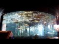 山梨県立富士湧水の里水族館　2013-3-22 の動画、YouTube動画。