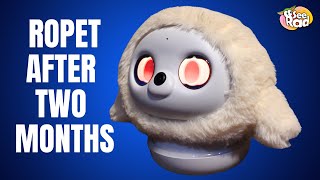 How Our Ropet Is Doing After Two Months Tips & Tricks