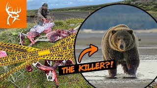 A GRIZZLY BEAR ATE our BULL?! | UNREAL Footage | Buck Commander