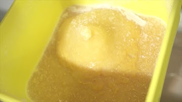 Nettex Colostrum Gold