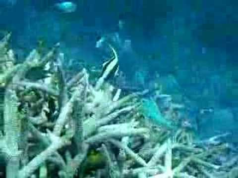 ���Ó��̃f�o�X�Y���_�C