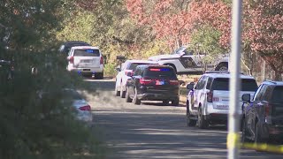 2 deputies shot, suspect killed during domestic disturbance call in north Bexar County