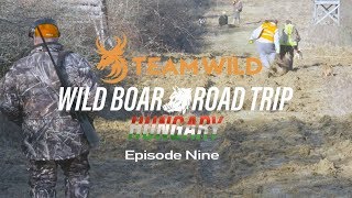 Wild Boar Hunting: Driven Hunting in Hungary with Steve Wild