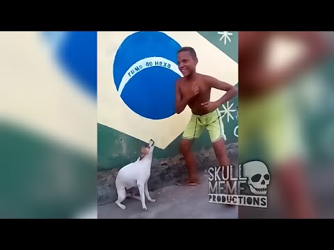 Cachorro Dançando!