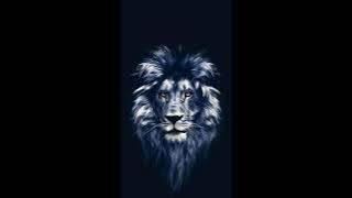 DJ rengar moon kortar