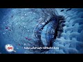  لكل طاشة حكاية لكل طاشة