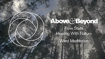 Above & Beyond - Flow State: Healing With Nature - Wind Meditation (Four Hour Ambient Soundscape)