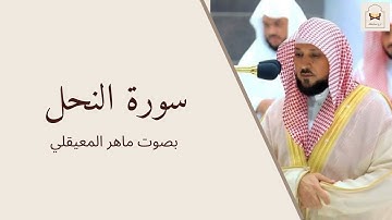 سورة النحل بصوت الشيخ ماهر المعيقلي Quran Surat An-nahl | ارح مسامعك