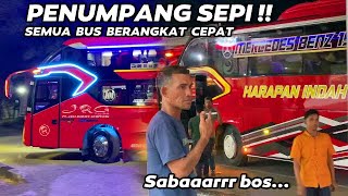 PENUMPANG PADA SEPI❗❗SEMUA BUS BERANGKAT CEPAT MALAM INI