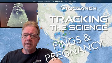 WEEKLY SHARK PING UPDATE WITH OCEARCH DATA SCIENTIST JOHN TYMINKSI (Week 5)
