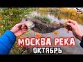 РЫБАЛКА НА МОСКВА РЕКЕ в ОКТЯБРЕ. БРАТЕЕВО. ЛОВЛЯ ОКУНЯ ОСЕНЬЮ