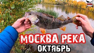 РЫБАЛКА НА МОСКВА РЕКЕ в ОКТЯБРЕ. БРАТЕЕВО. ЛОВЛЯ ОКУНЯ ОСЕНЬЮ