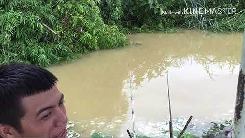 Câu cá mùa nước lũ quê tôi và cái kết