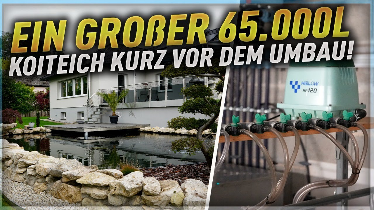 Selbst ich war überrascht! Riesen Teich, Innenhälterung und eigenes Filterhaus!