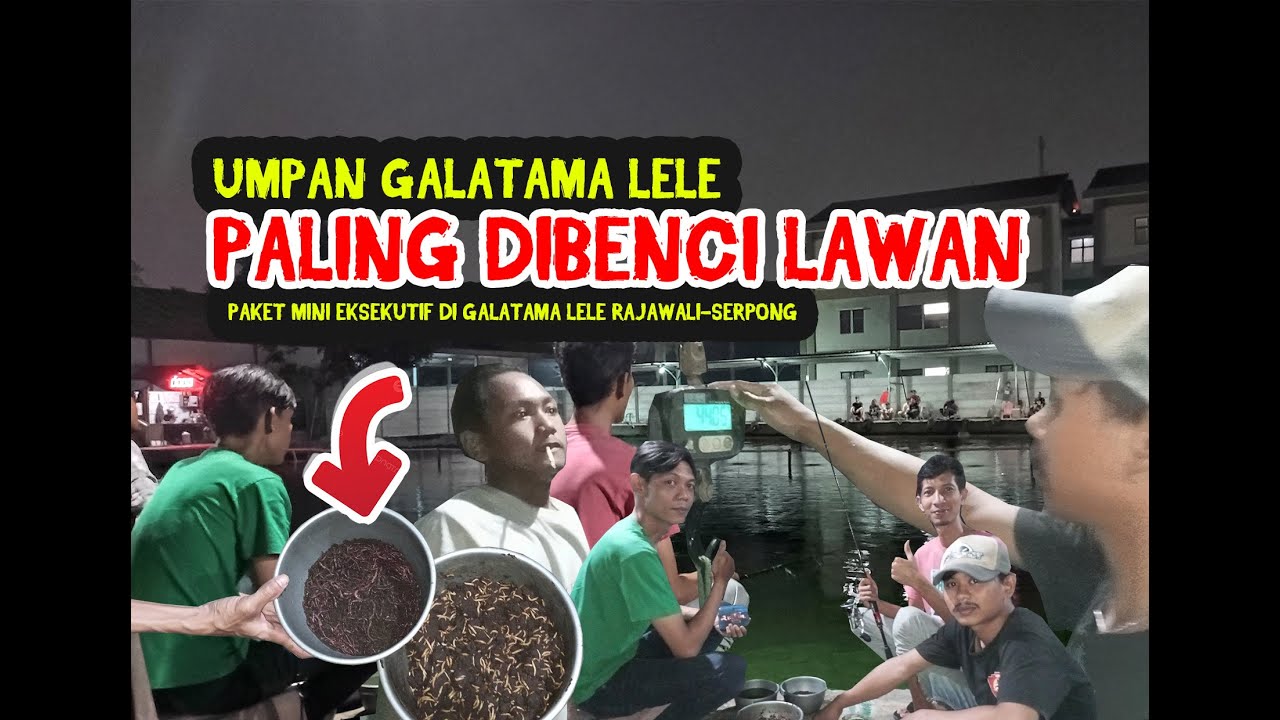 MANCING LELE UMPAN NYA SEBANYAK ITU#umpangalatamalele #fypシ #galatamalele #mancingmania #fypシ゚viral