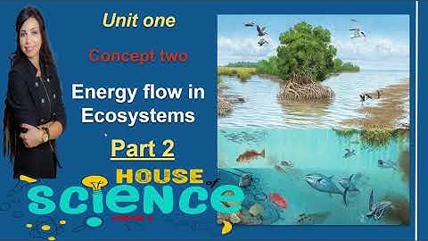 Unit 1 | Concept 2 | Energy flow in Ecosystems | Part 2