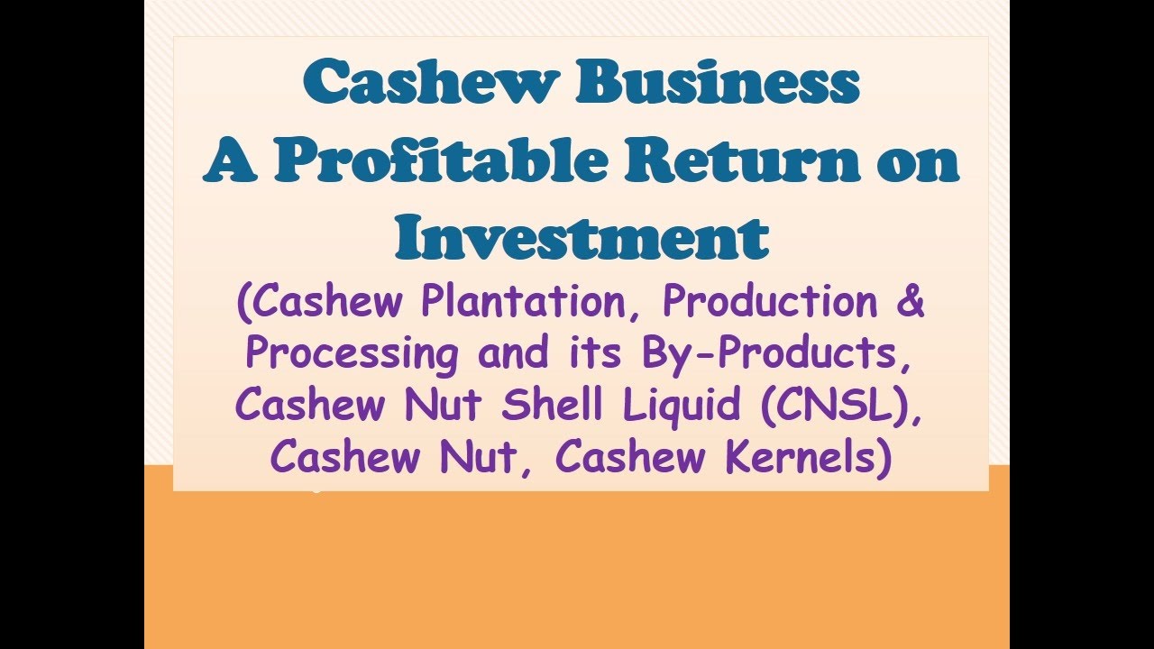 Cashew Business: A Profitable Return on Investment.