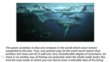 Melville: Moby Dick - Summary and Analysis Chapters 55-65