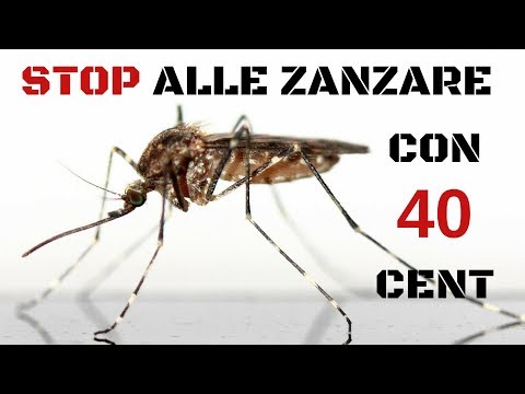 Video: Come Sbarazzarsi Delle Zanzare