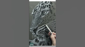 Charcoal Leopard Drawing - Lachri #shorts