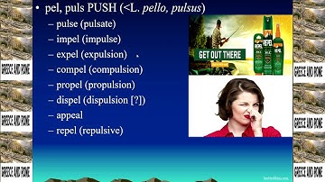 Etymology 101 (Lesson 14: Roots: pel/puls ["push"], vid/vis ["see"]) -- Brett Robbins