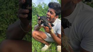 Top 50 Youtube videos – BD – 2023-12-08 Top 50 Youtube videos – BD – 2023-12-08