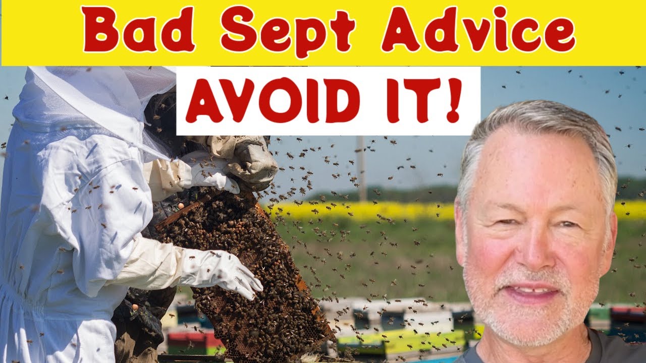 Beekeeping Falsehoods for September: Stop Believing Them! - YouTube