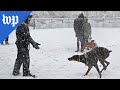 Winter weather blankets D.C. region in snow