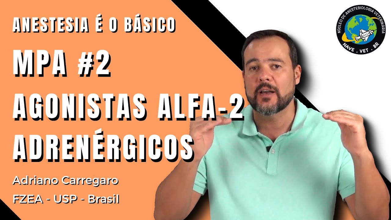 6⃣ MPA EM ANIMAIS (Anticolinérgicos e Agonistas alfa-2) | Anestesia é o Básico #6