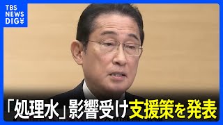 中国以外の新規海外市場への販売など支援へ　岸田総理が「処理水」影響受け漁業者支援策を発表｜TBS NEWS DIG