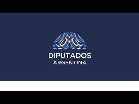 🇦🇷 SESIÓN ESPECIAL: 9 de septiembre de 2026 - Diputados Argentina