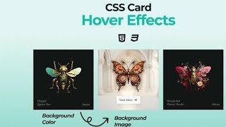 Hover Effect In Css Web Designing