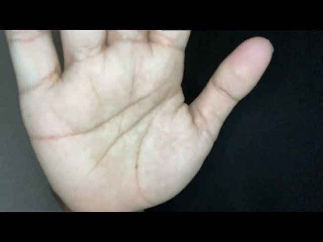 ASMR  新しいパソコンのテスト